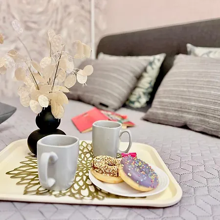 Apartment New Stylish Center